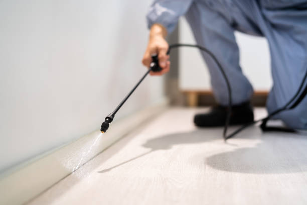 Licensed Termite Control service in Sebastian County County, AR - Nex Pest Control